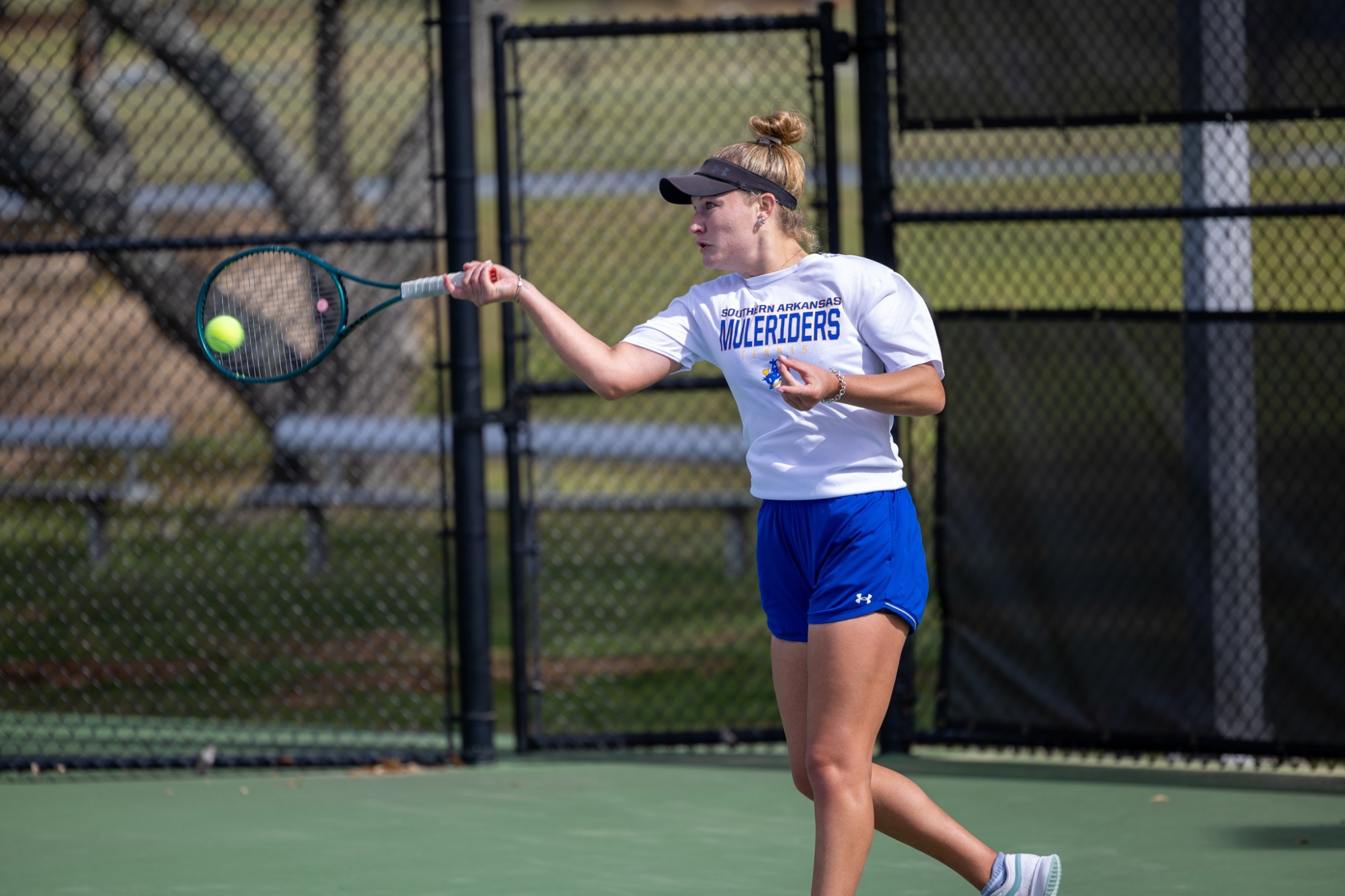 WTEN at OUA-HSU PReview