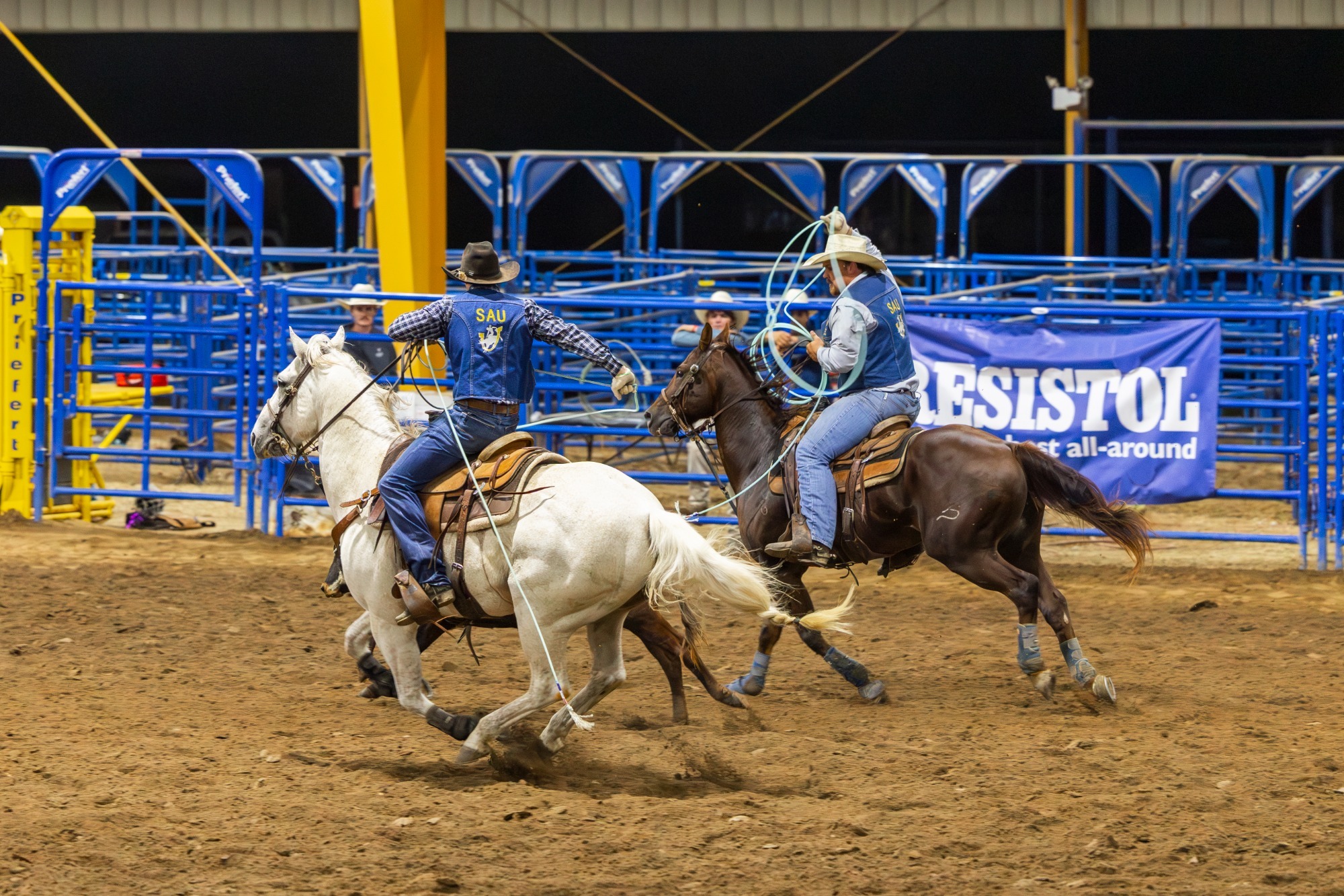 Rodeo Story