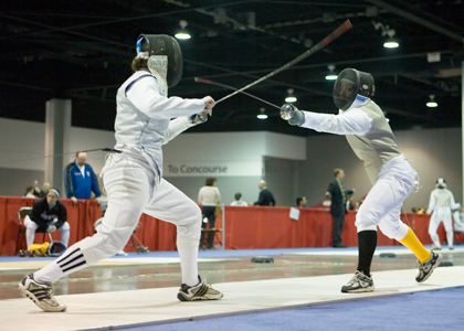 fencing