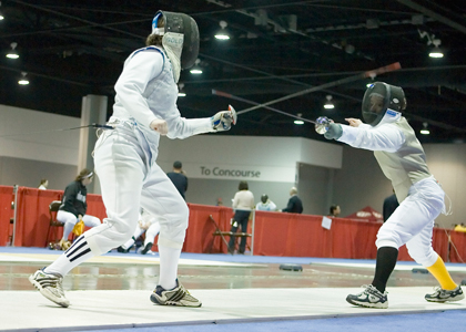 fencing