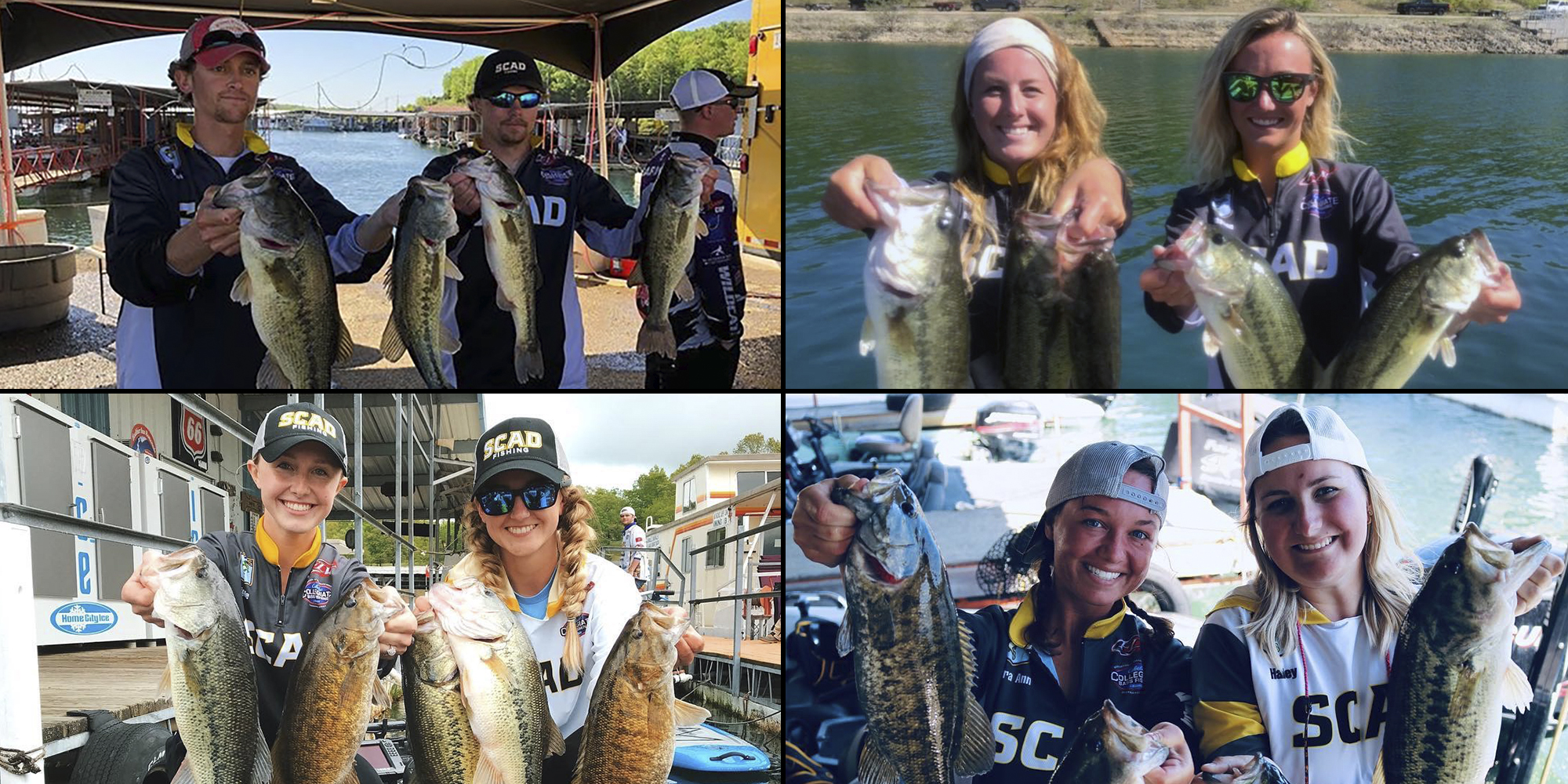 FISH Bull Shoals Lake 2019
