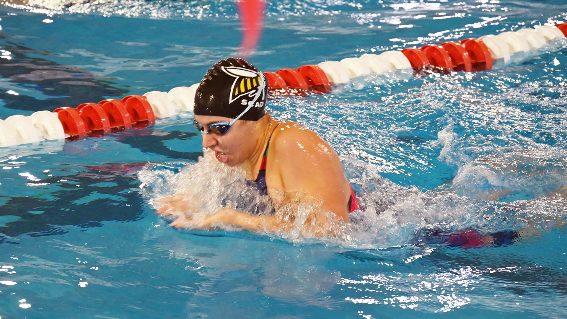WSWIM2223_hahn