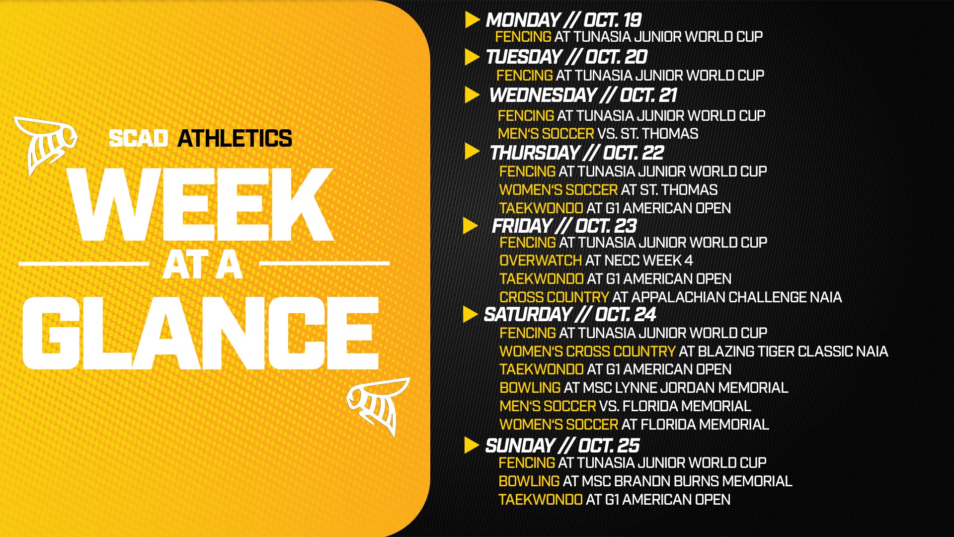 Week at a Glance 10/19