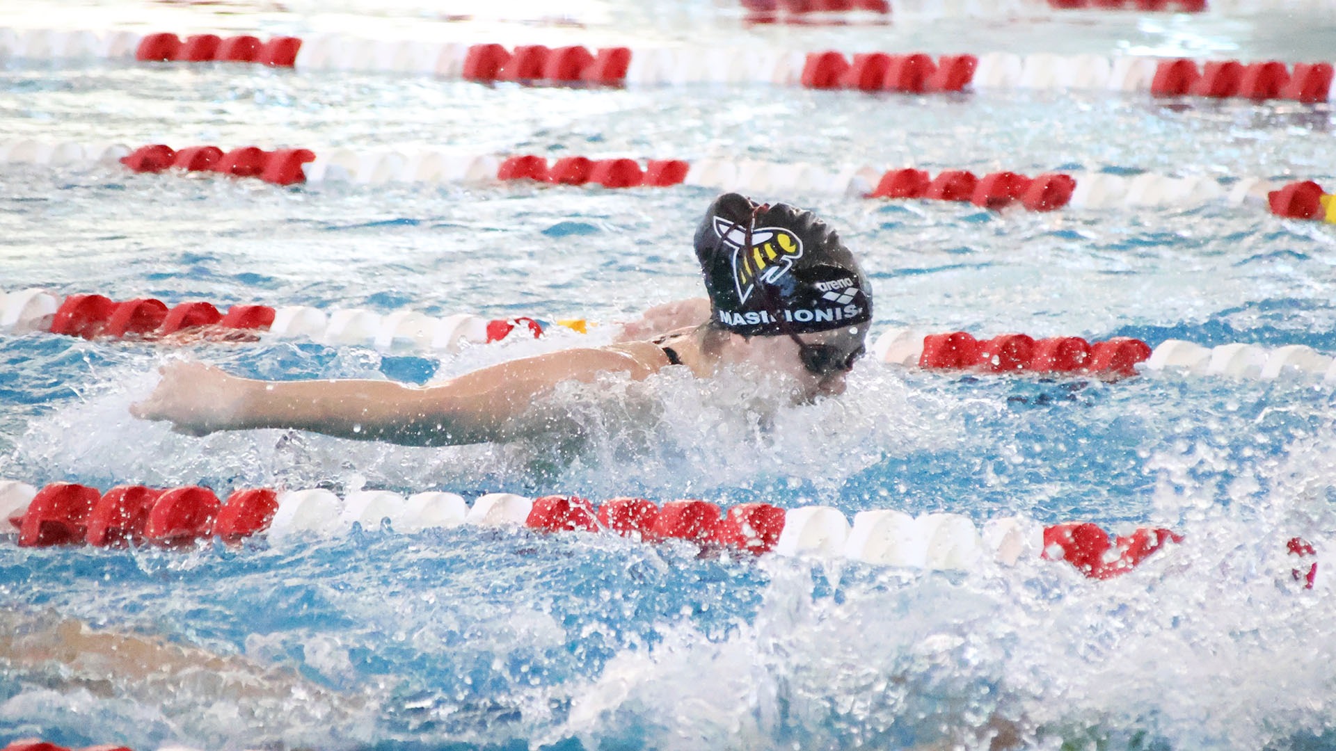 WSWIM2526_masilionis