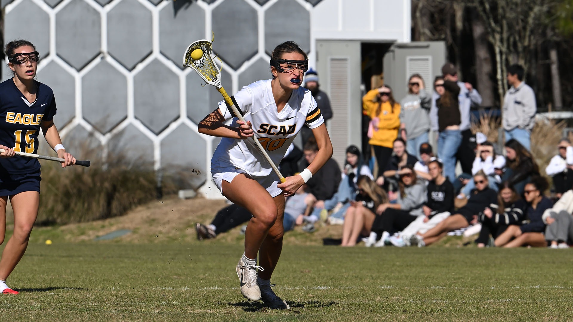 WLAX26_brown