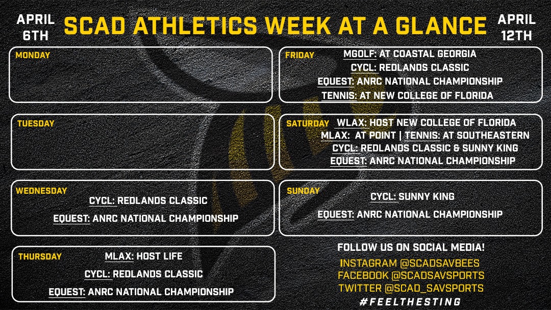 4-6 Week at a Glance