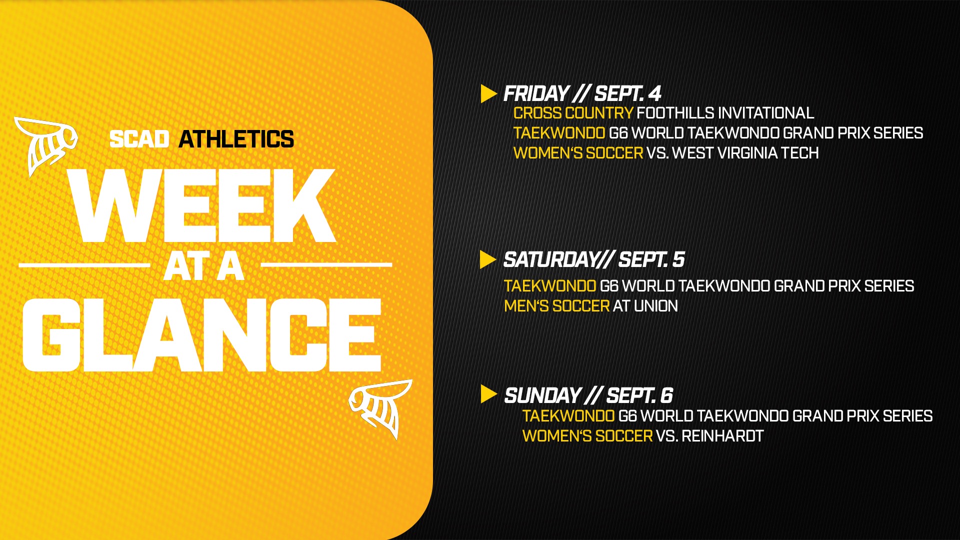 Week at a Glance 8/31