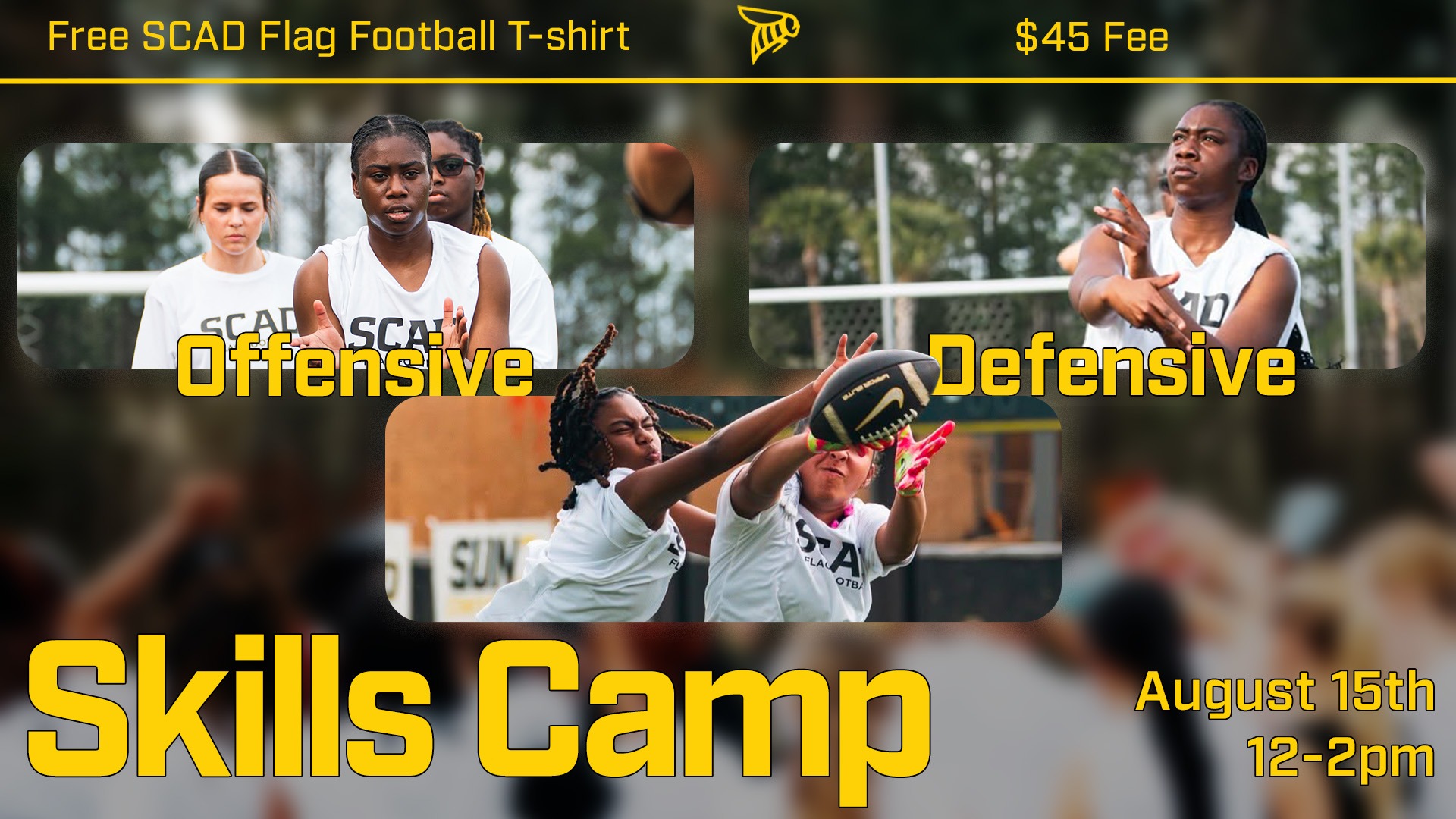 Flag Football Skills Camp