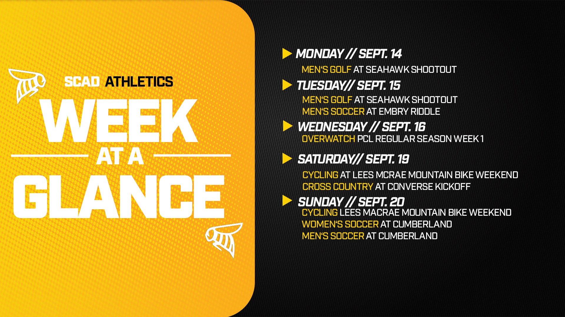 Week at a Glance 