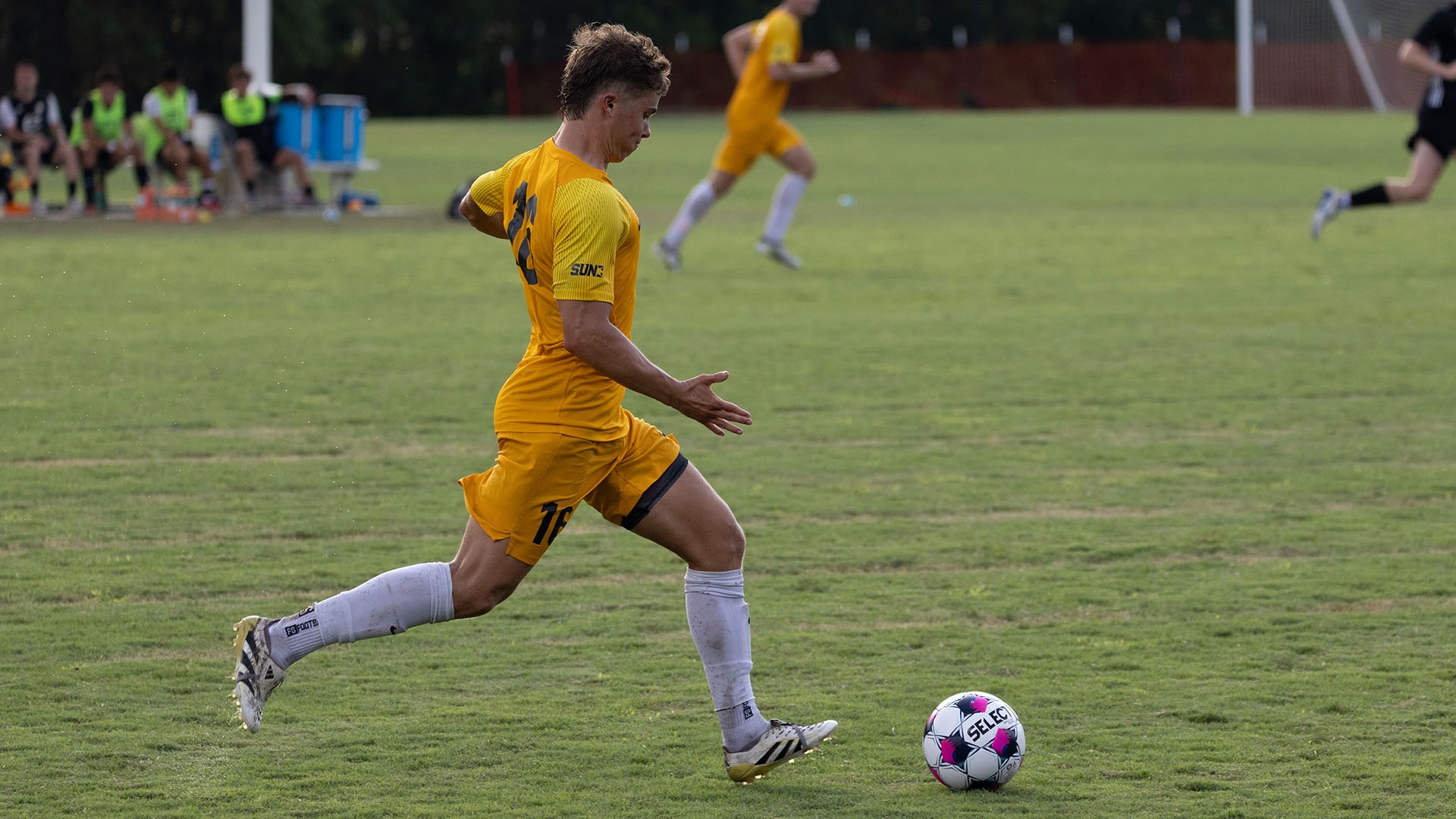 MSOC26_Rothe