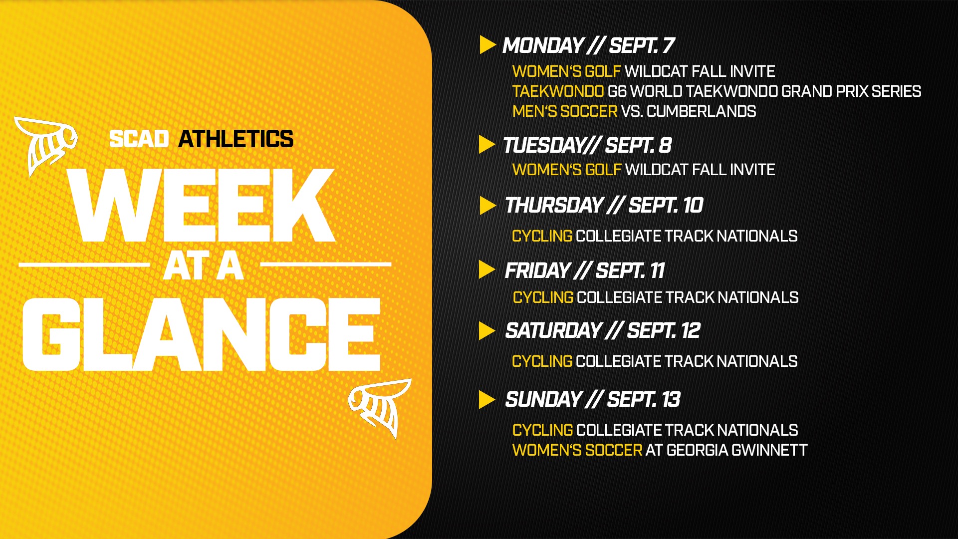 Week at a Glance 