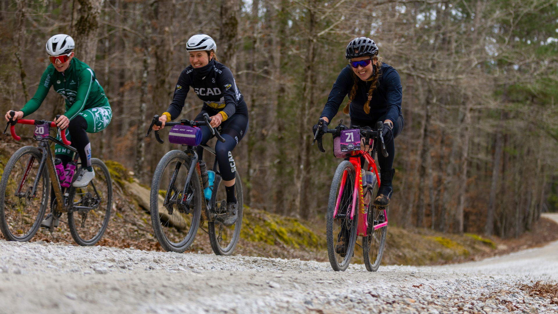 Bees at the Southern Cross 50 Mile Race