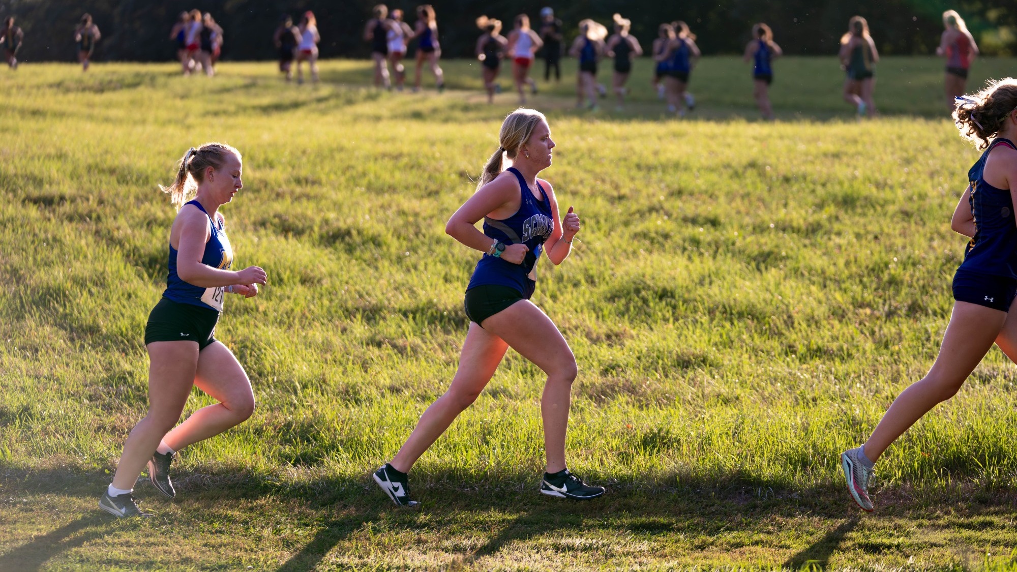 WXC Preview