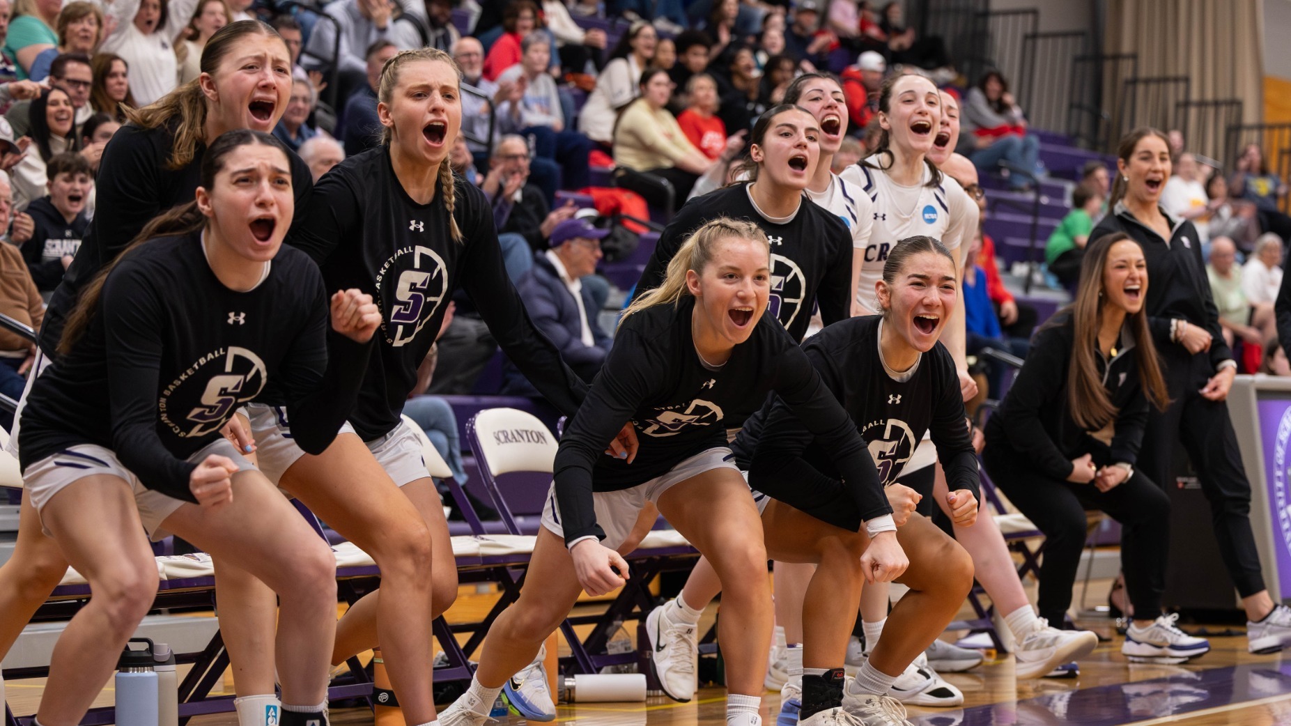 WBB Preview Sweet 16