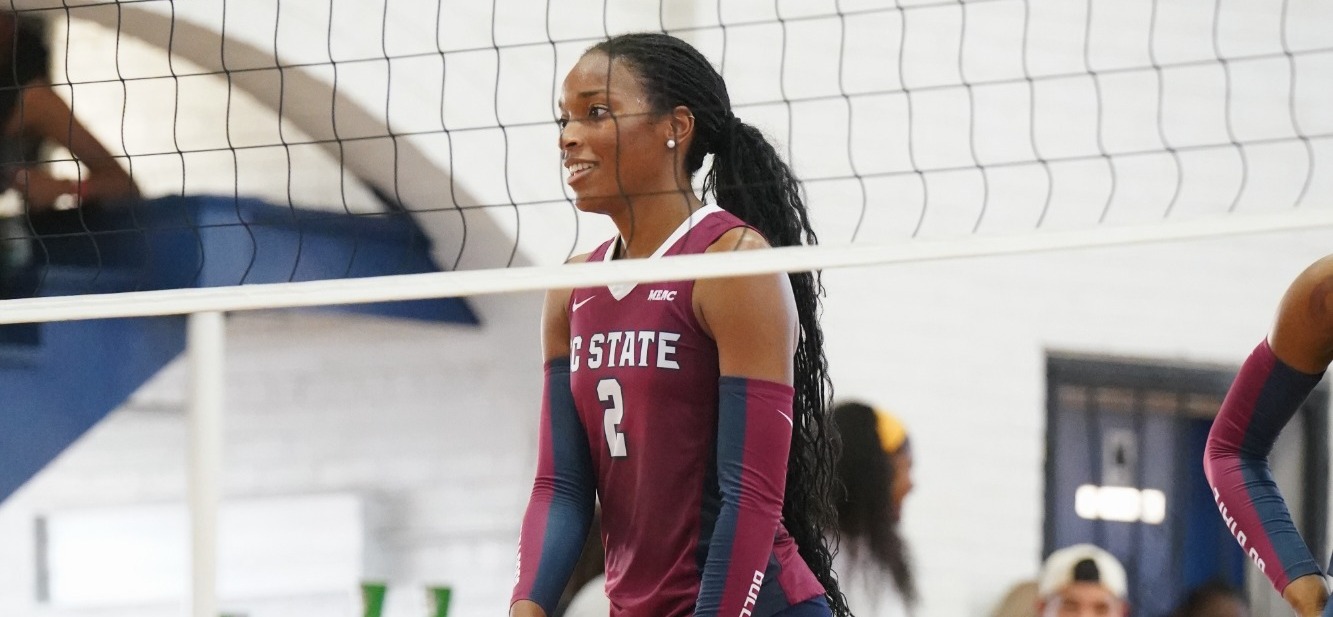 VBNorfolkState