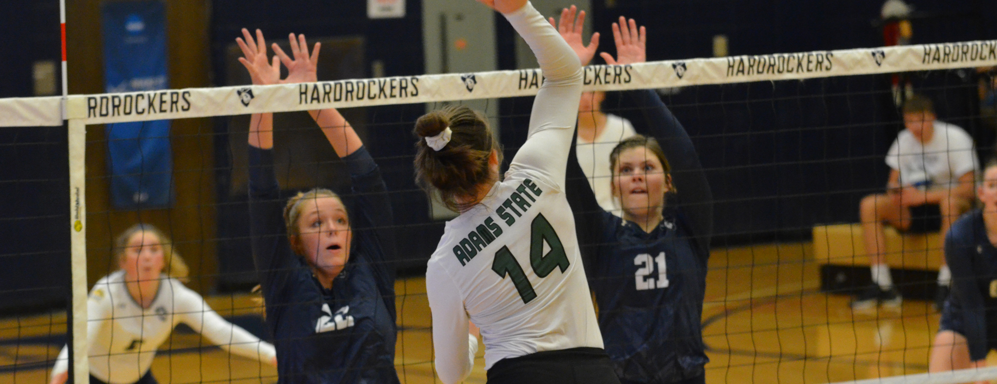 Jacey Koethe Women's Volleyball South Dakota Mines