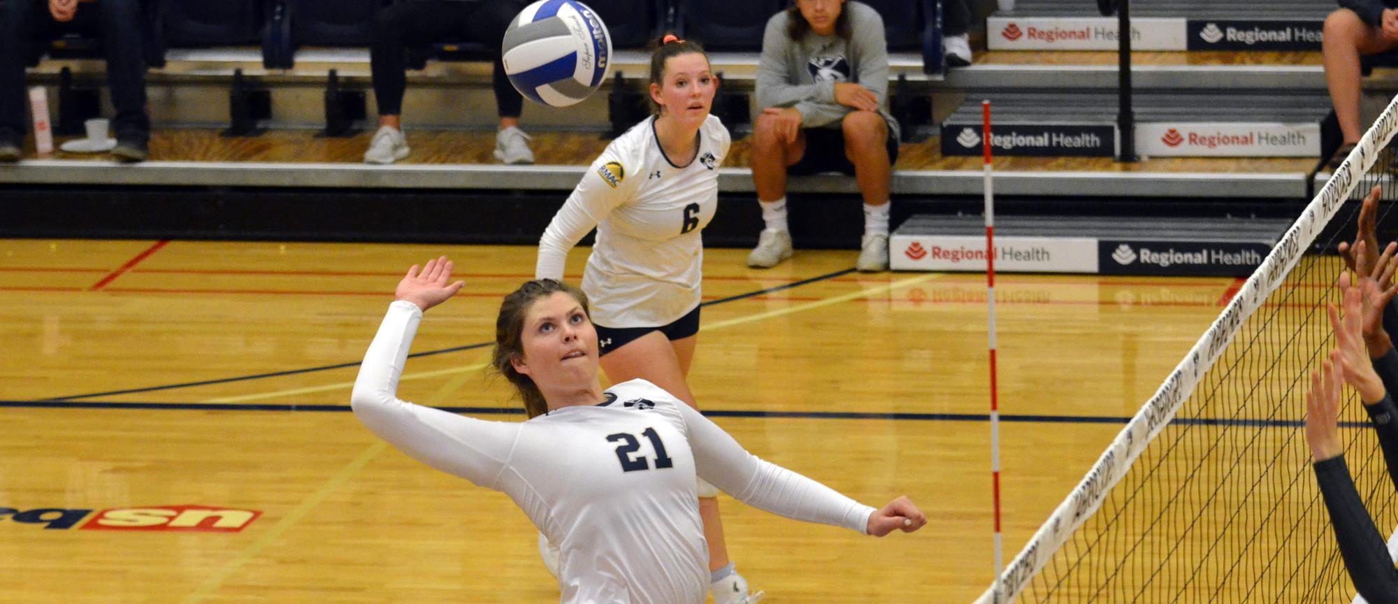 Jacey Koethe Women's Volleyball South Dakota Mines