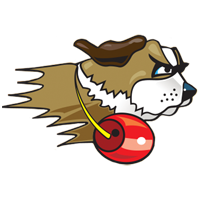 Opponent Logo