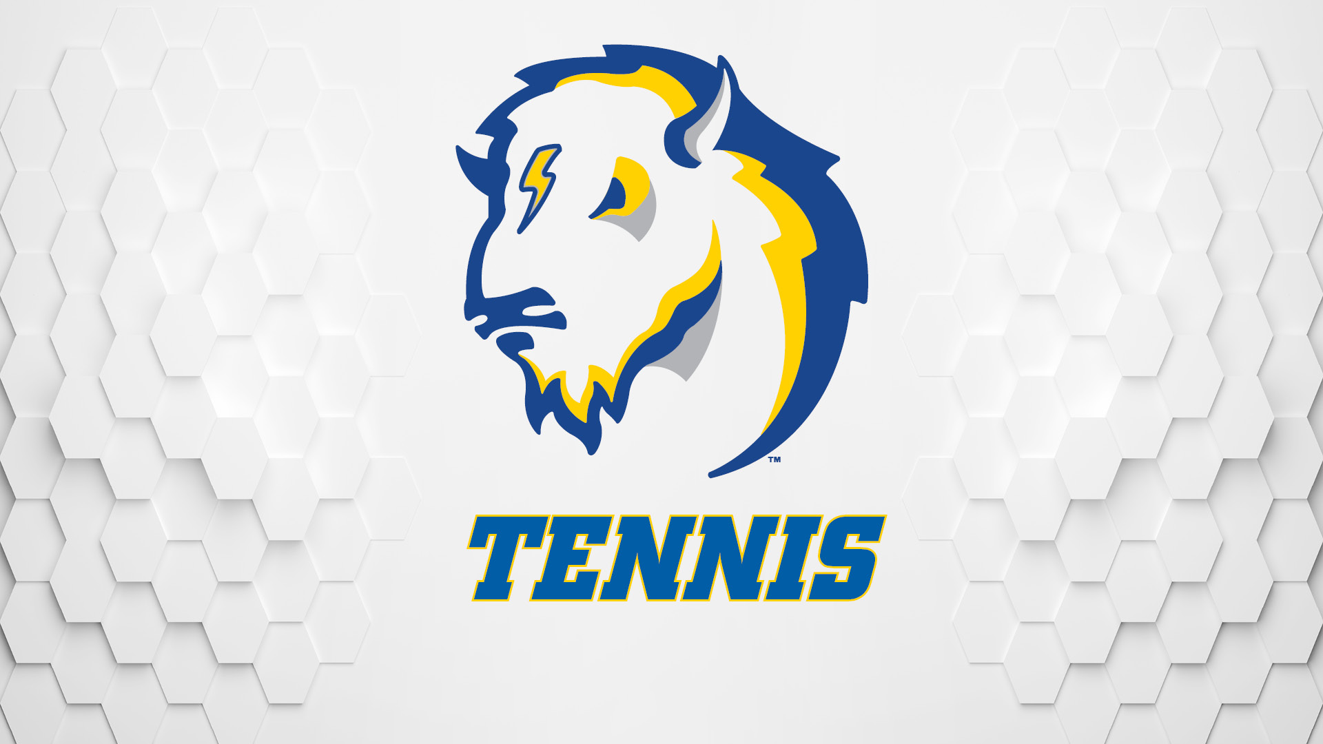 Bison Head Tennis