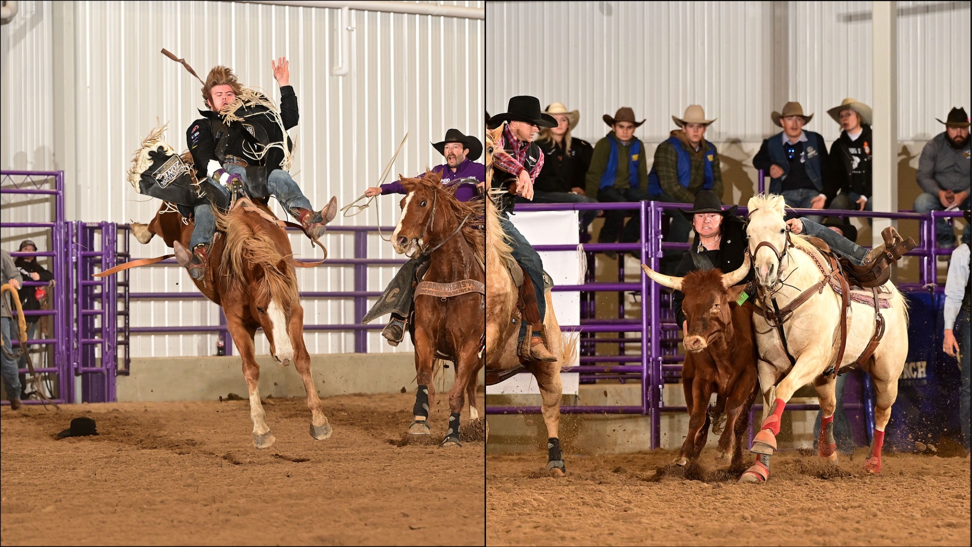 SE men's competitors at Kansas State Rodeo