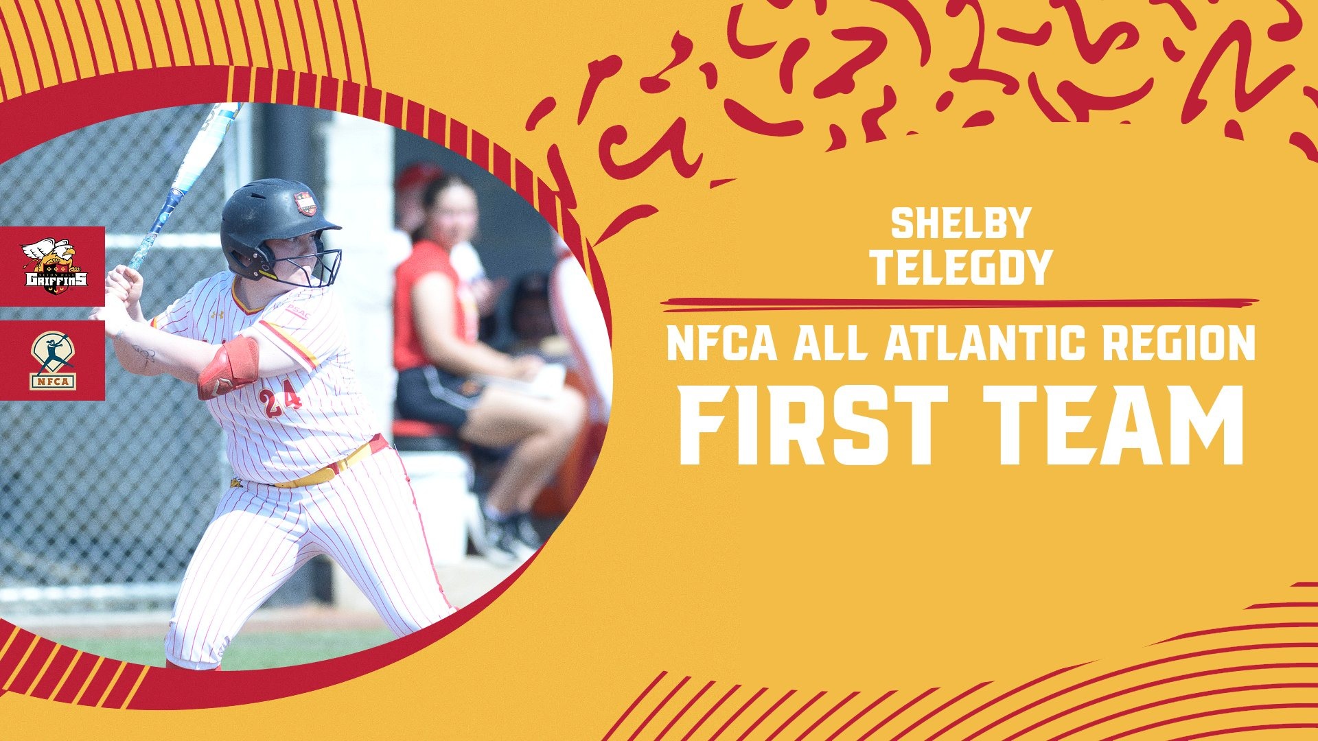 Telegdy NFCA 26
