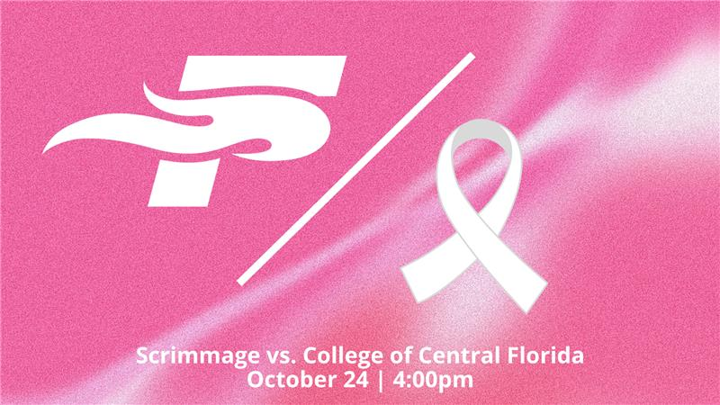 Softball Fall Pink Out Graphic
