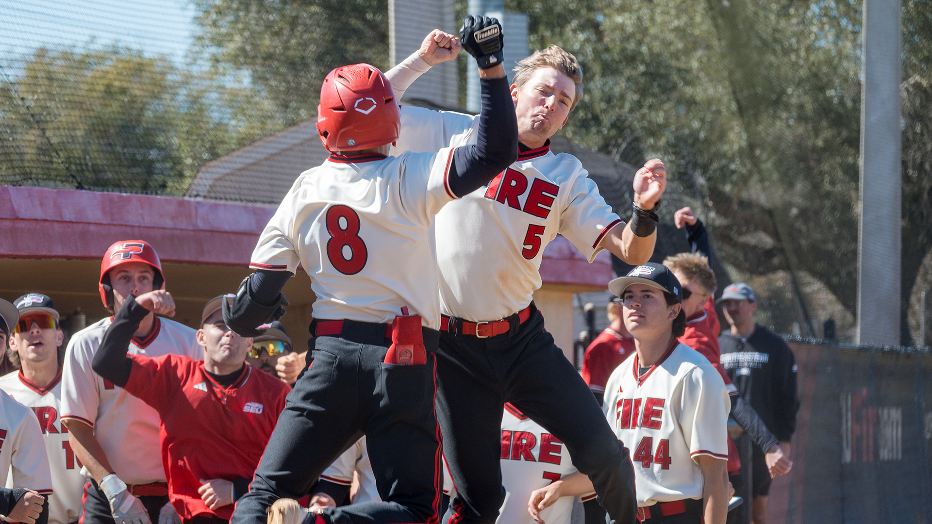 Baseball Celebration