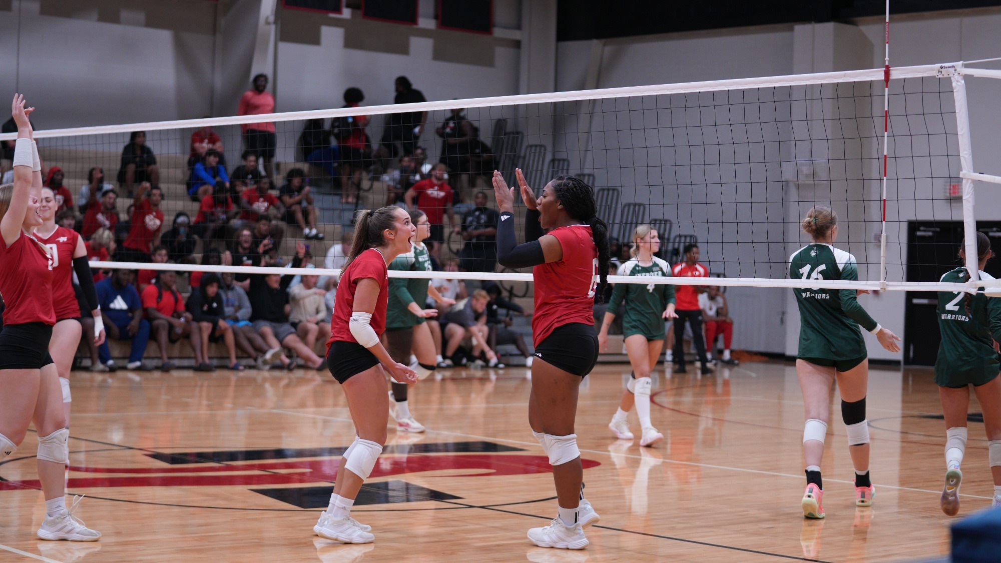 Volleyball 