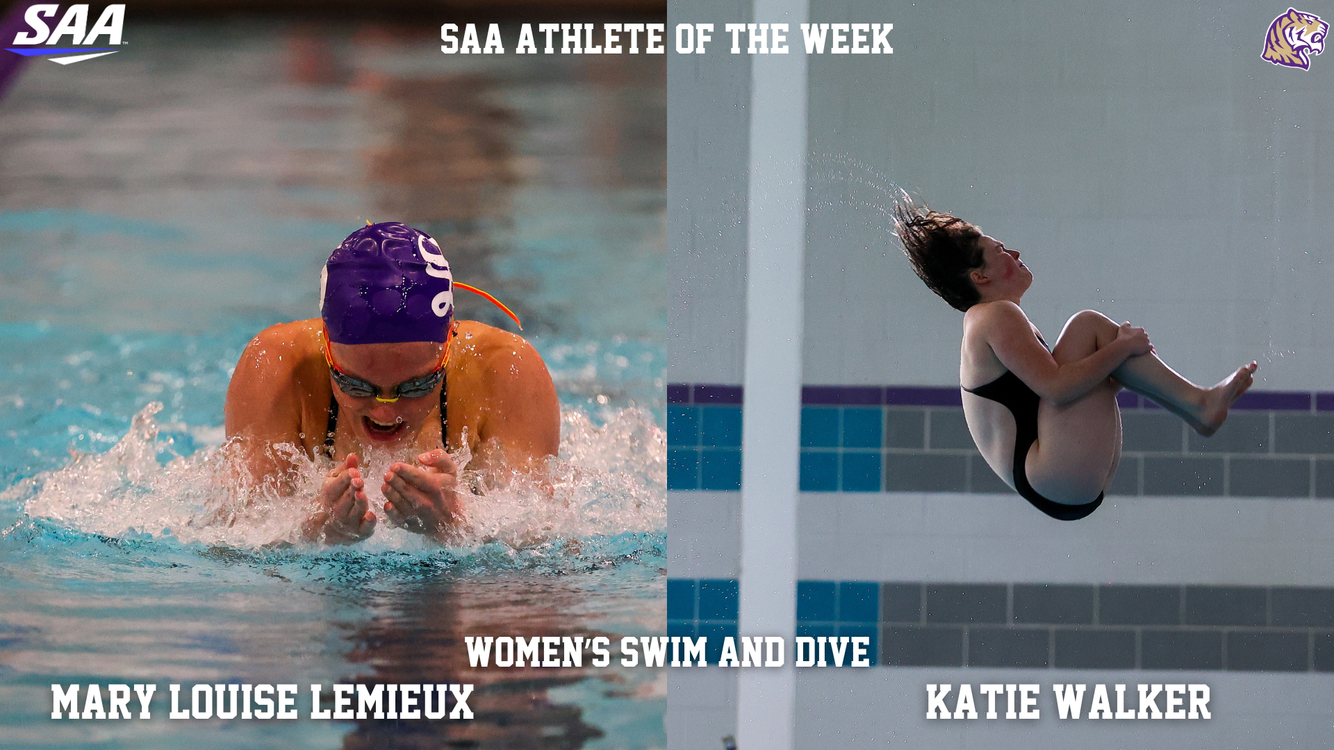 women's swim and dive AOW