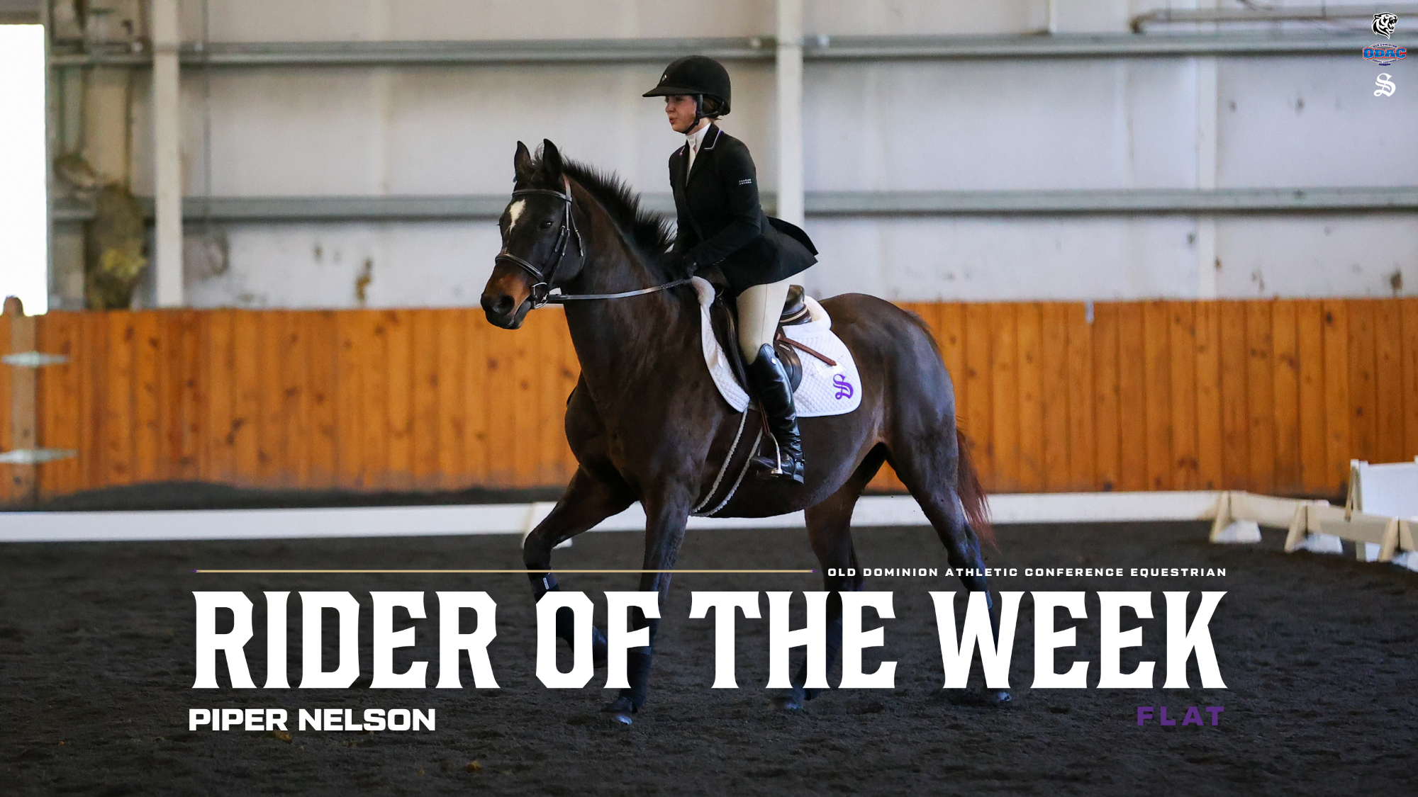 piper nelson odac row