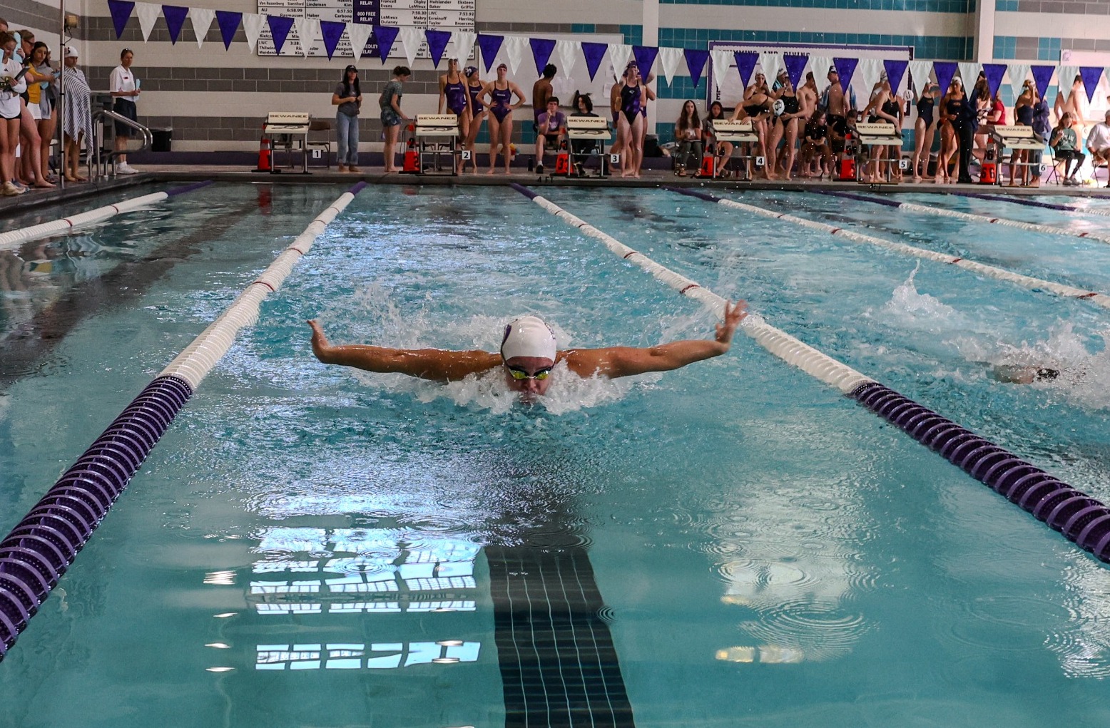 audrey francell butterfly