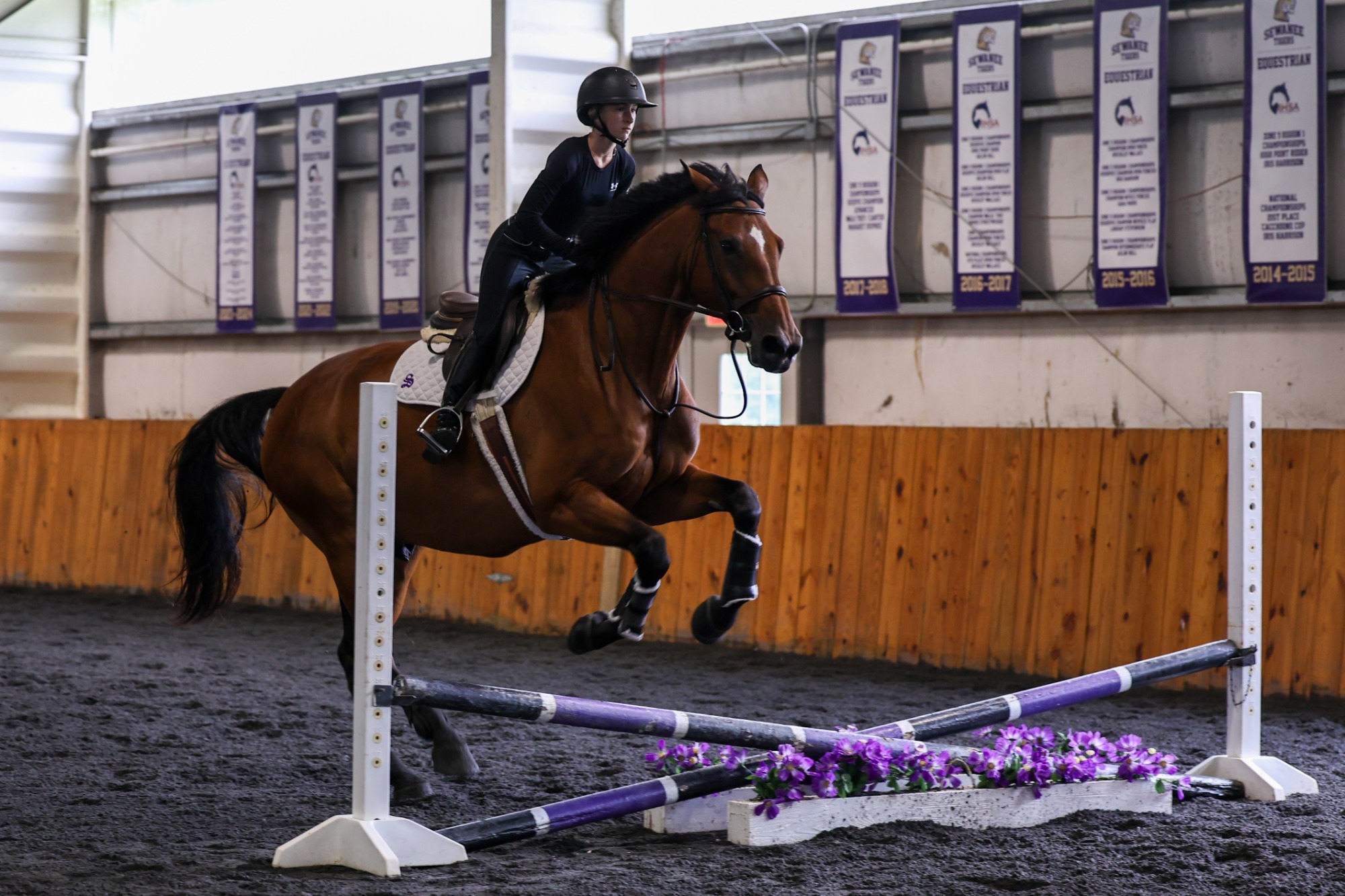 rebecca love, preseason fences