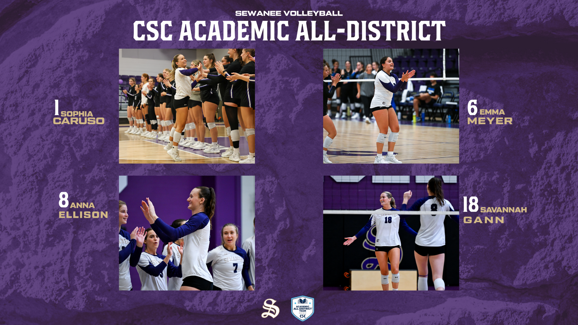 volleyball academic all-district