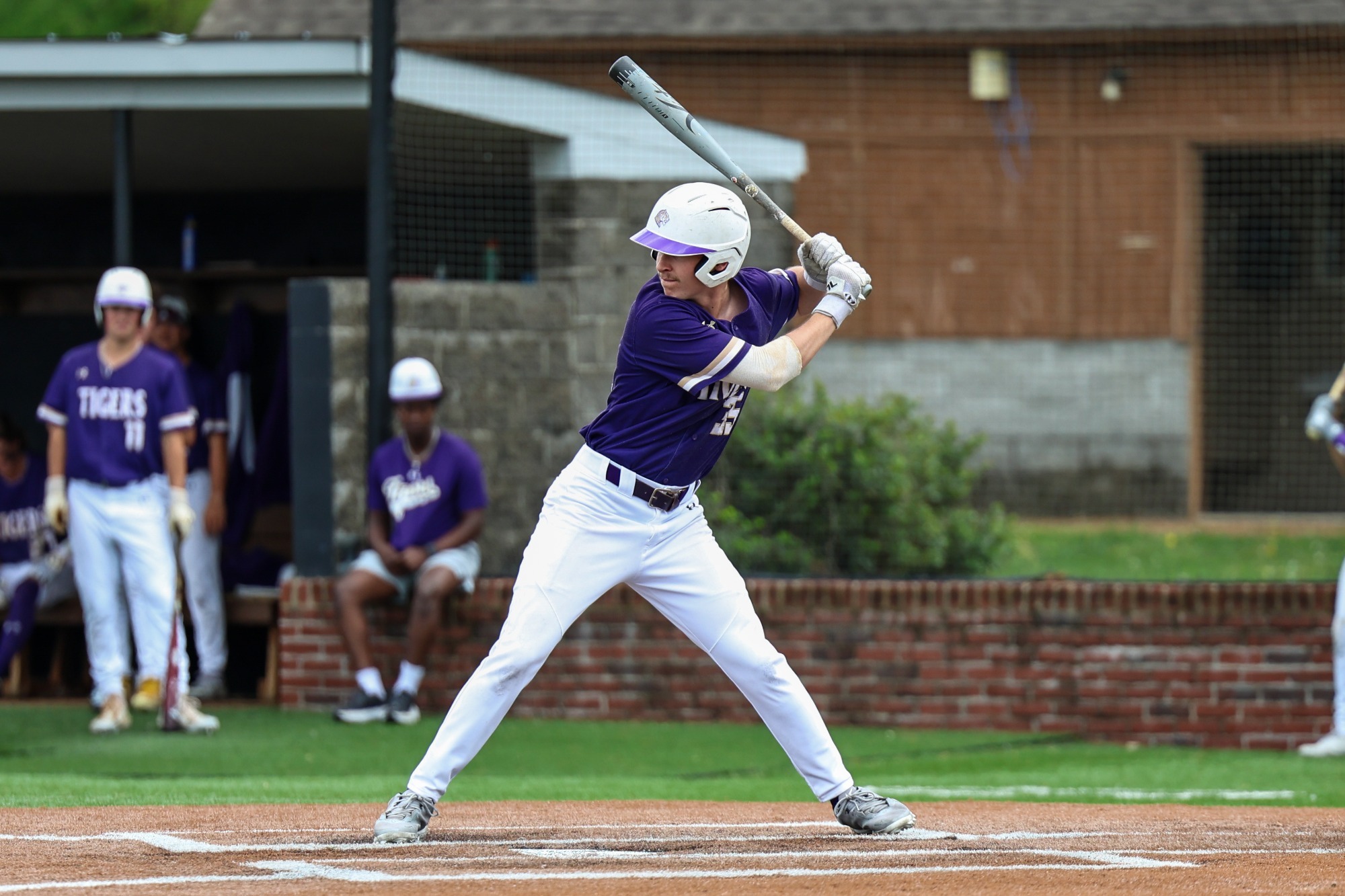 charlie teel hitting