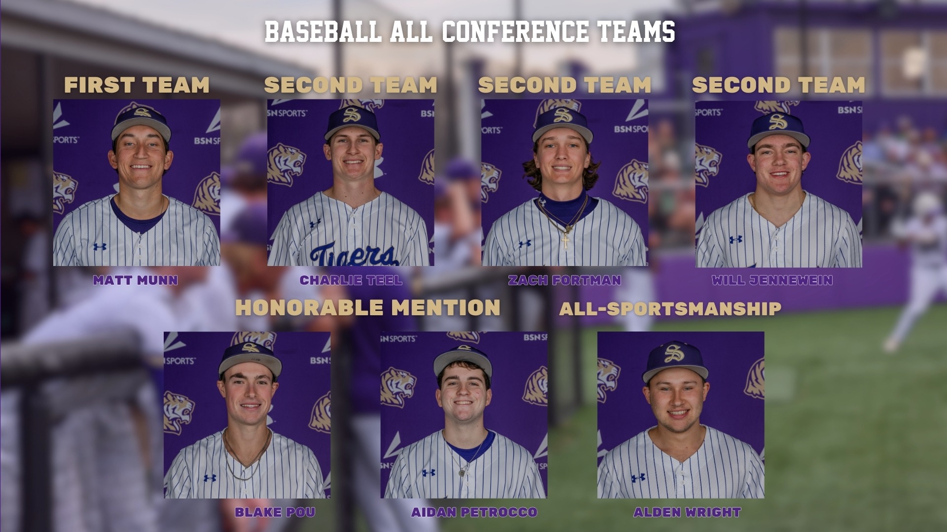 baseball all-conference teams