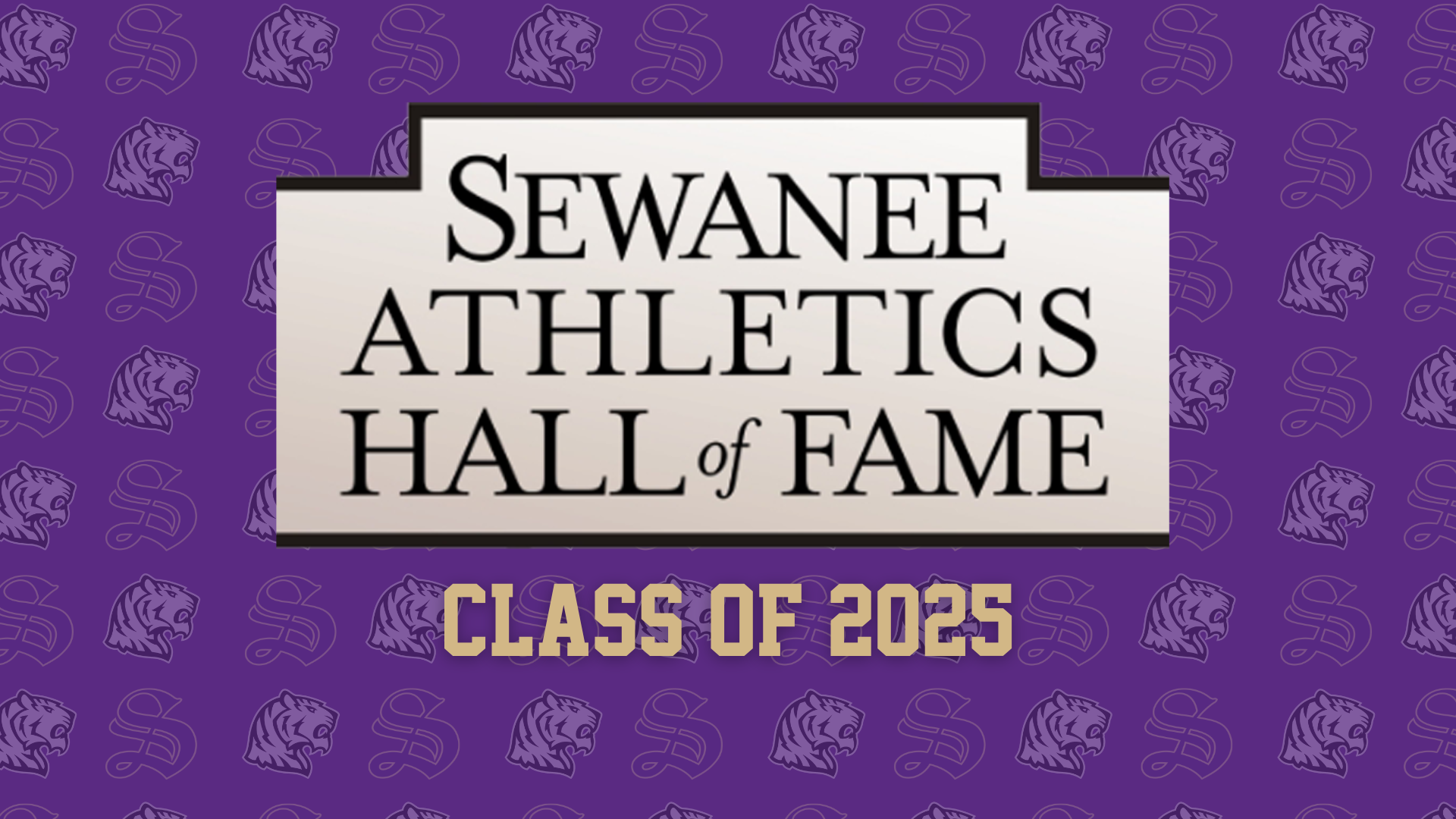 2025 hall of fame article picture 