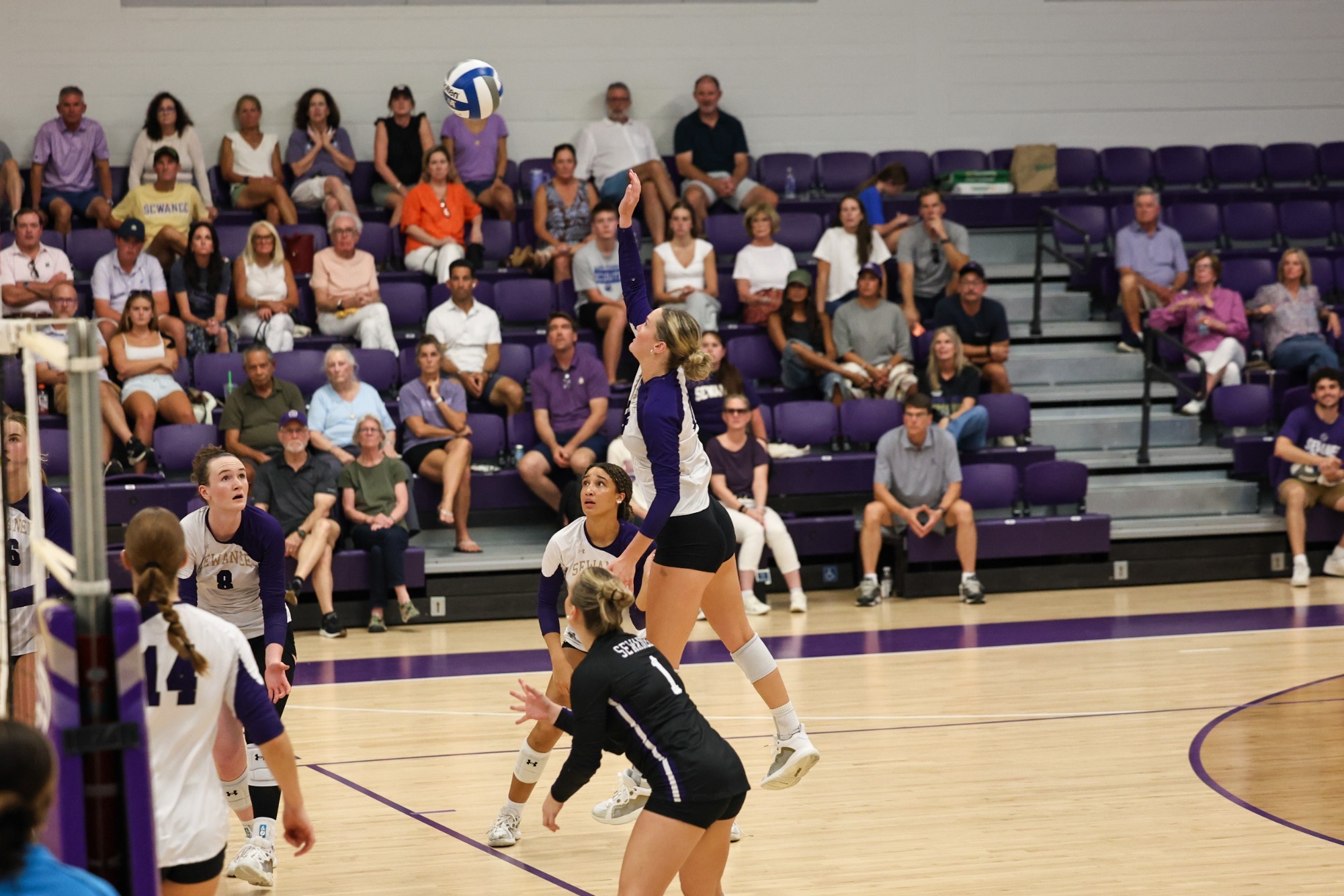 savannah gann hitting from back row