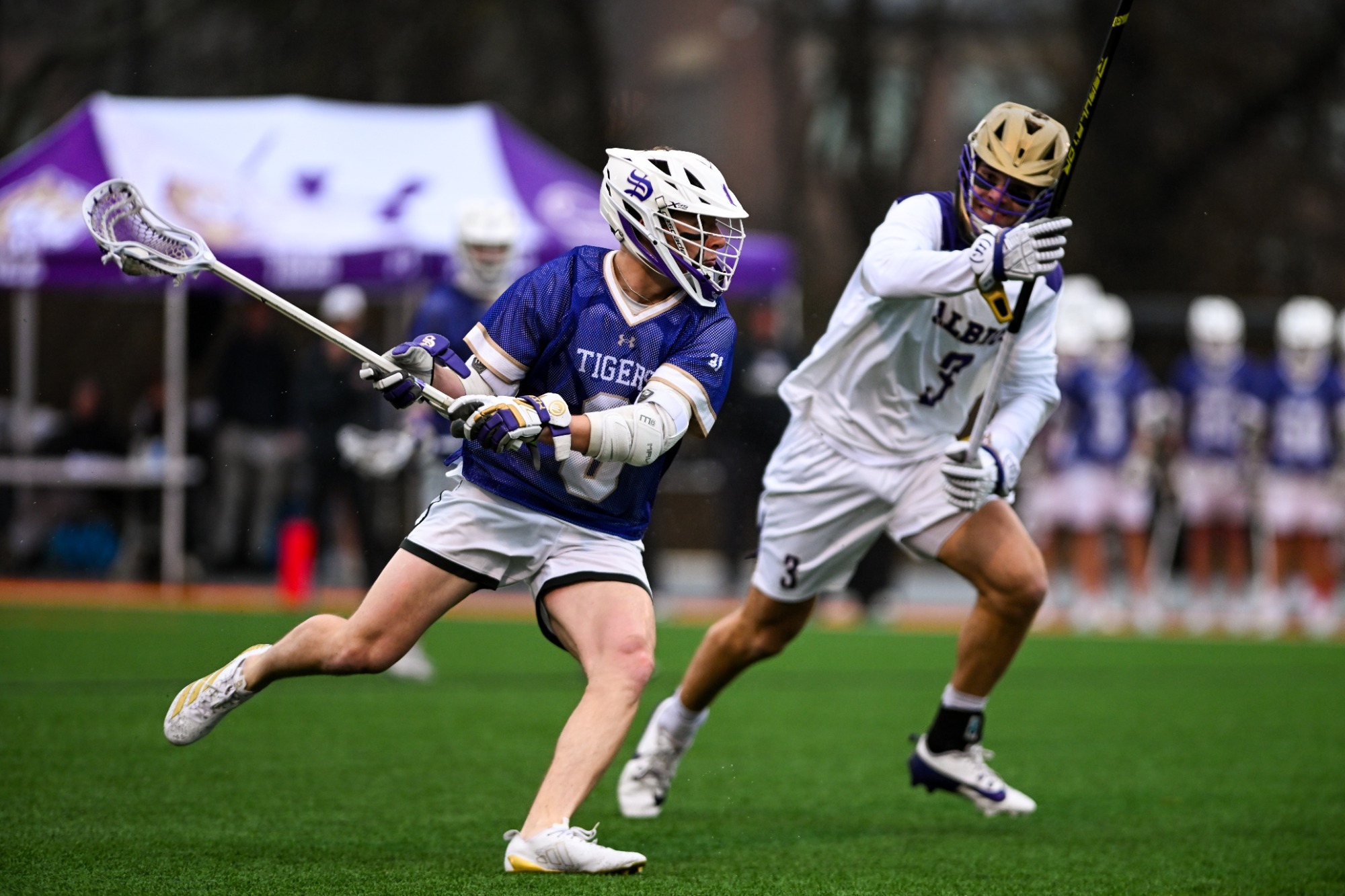 hank walsh vs albion