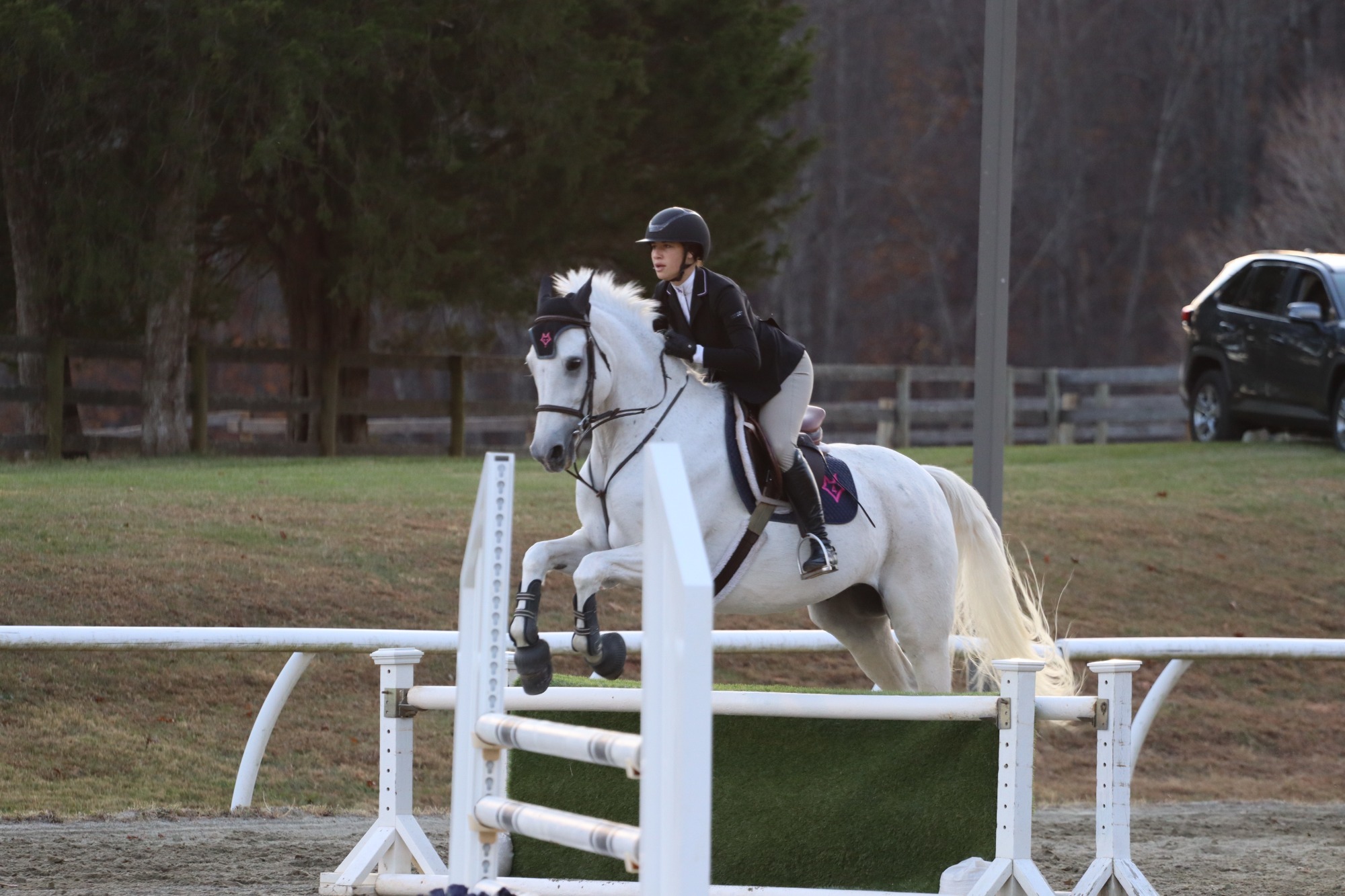 olivia carmouche, fences