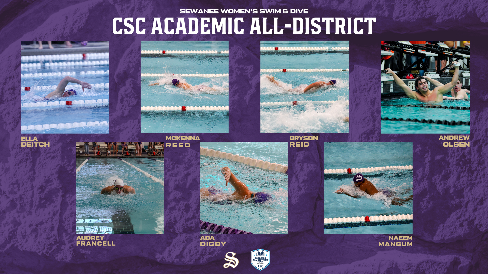 swim and dive csc academic all district
