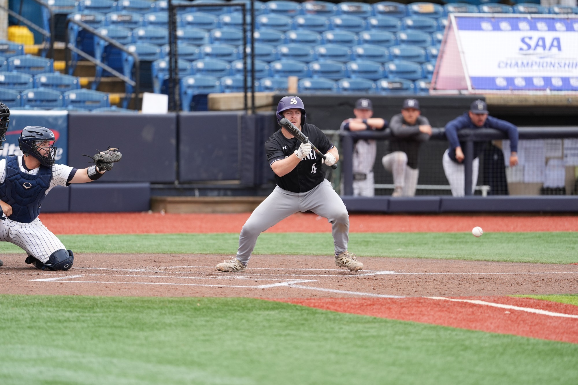 owen andress bunting