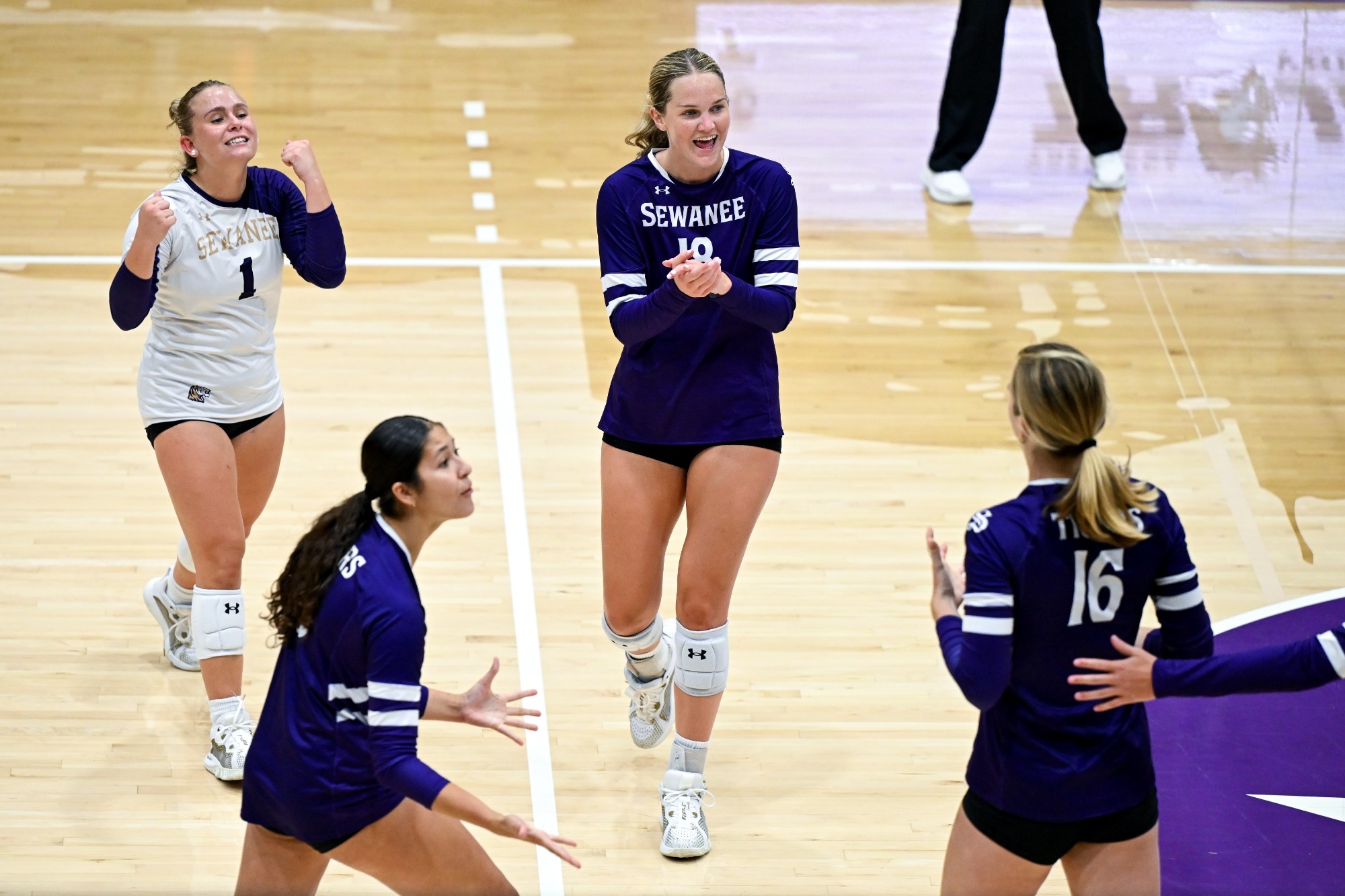 tigers celebrate vs trevecca
