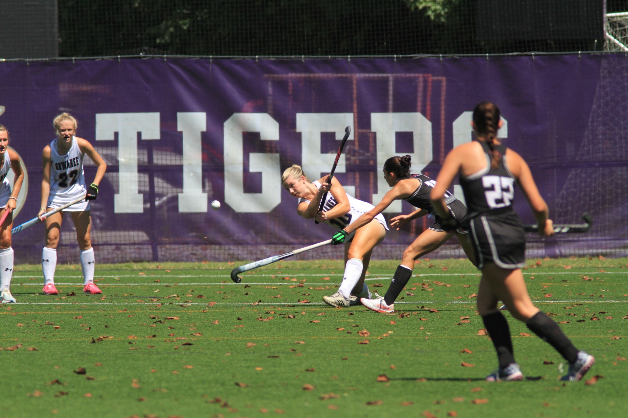 faith erickson vs roanoke