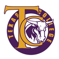 Opponent Logo