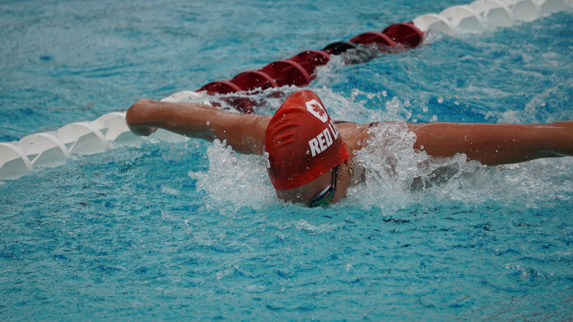 Swimmer Alyssa Whitmore swims fly in the pool.