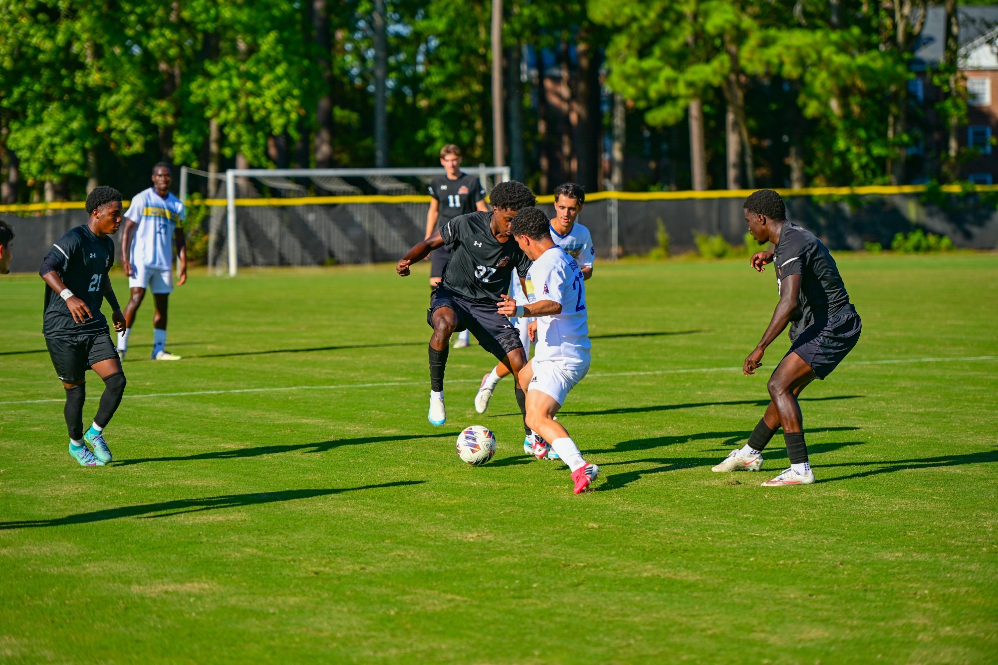 MSOC vs NCWES
