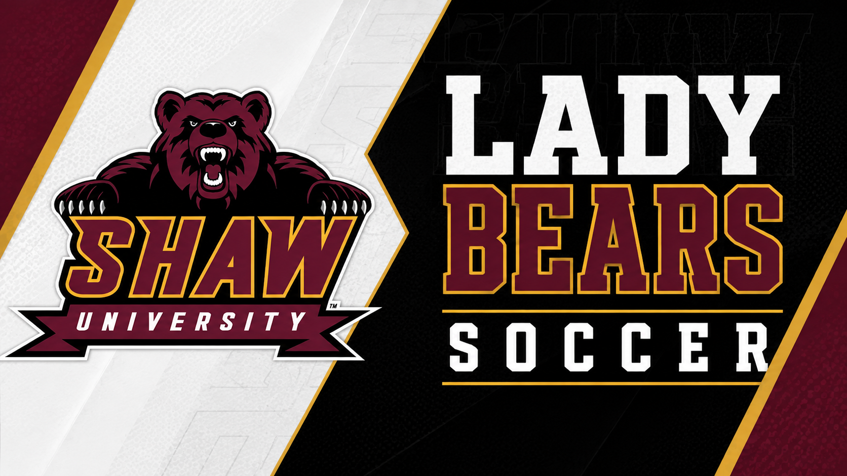 WSOC hed