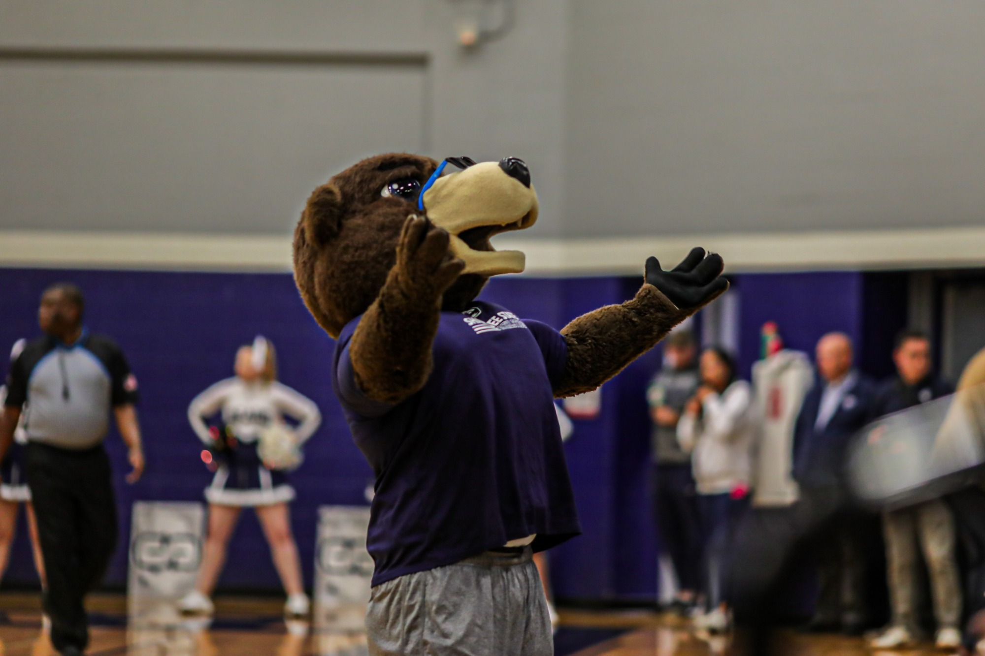Courtside Cubs Community Game 2025-26