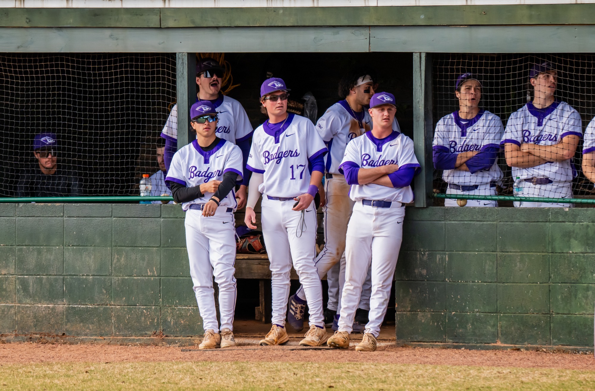 2026 Baseball Dugout Shot