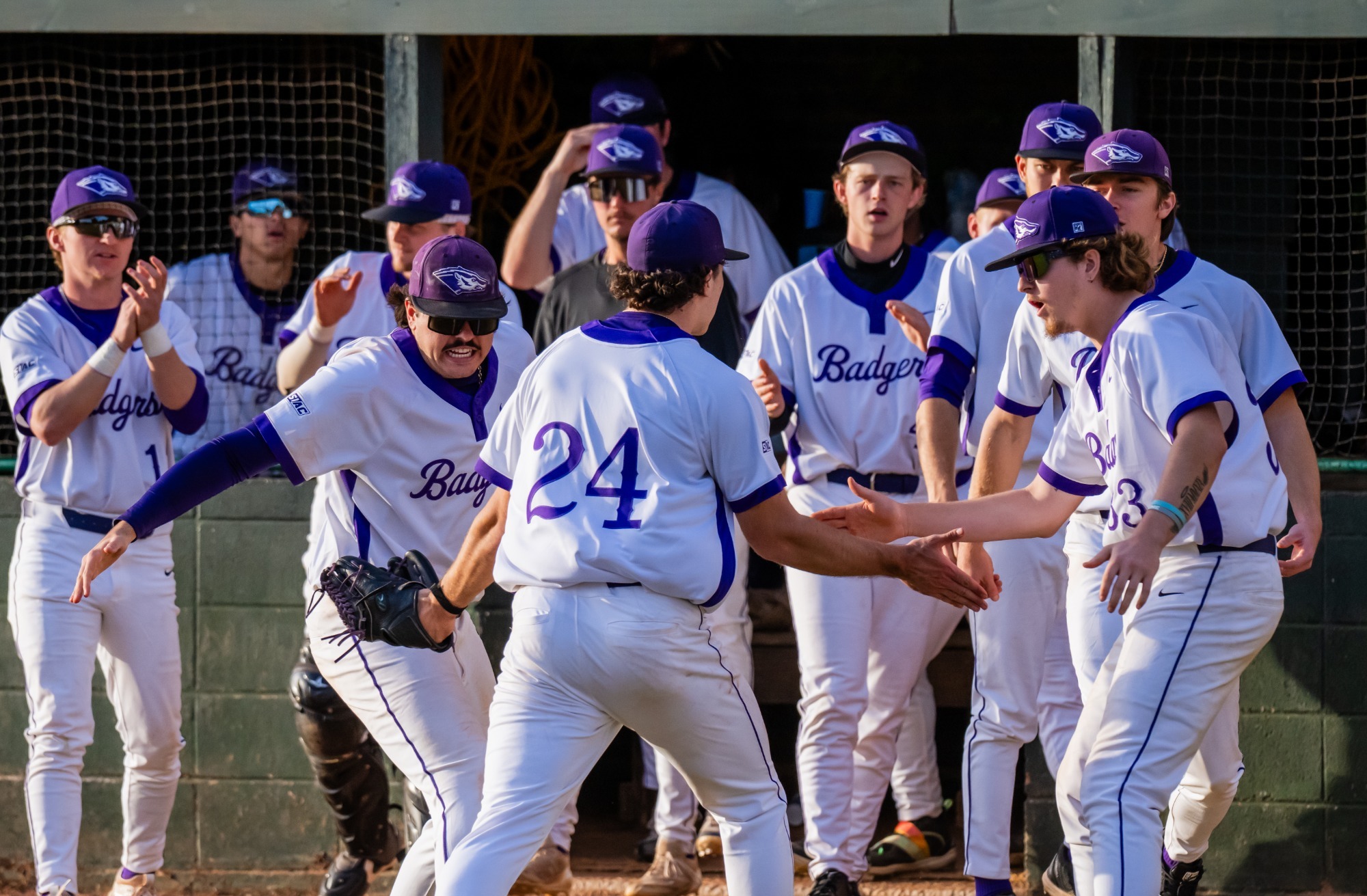 2026 Celebration Baseball